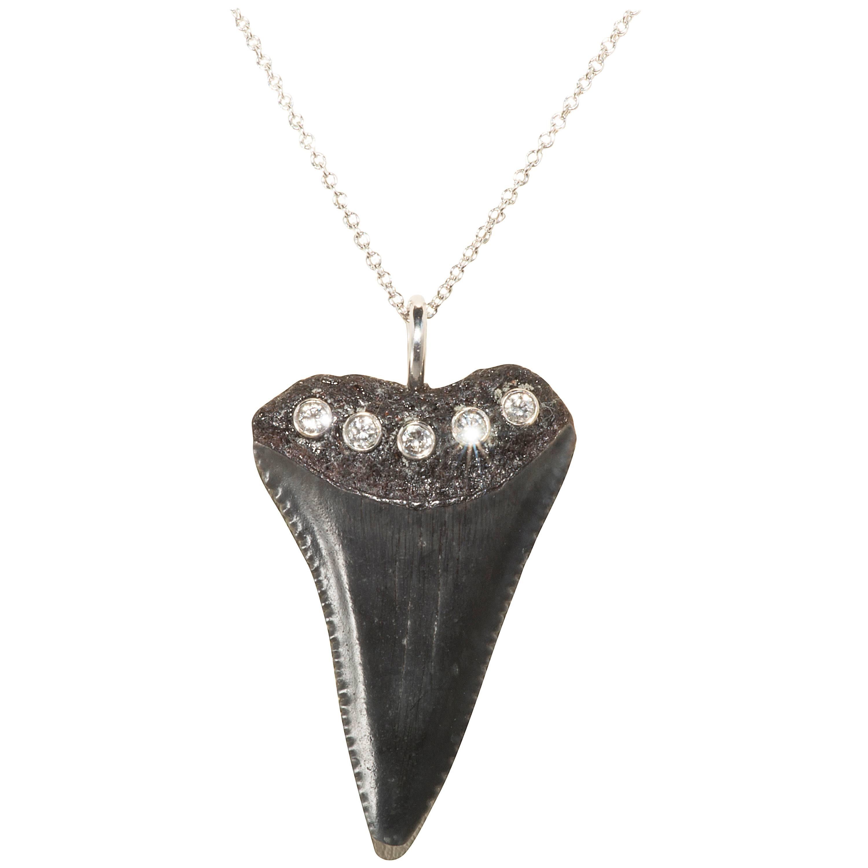Diamond Gold Fossilized Shark Tooth Pendant For Sale