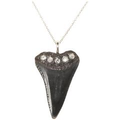Diamond Gold Fossilized Shark Tooth Pendant 2