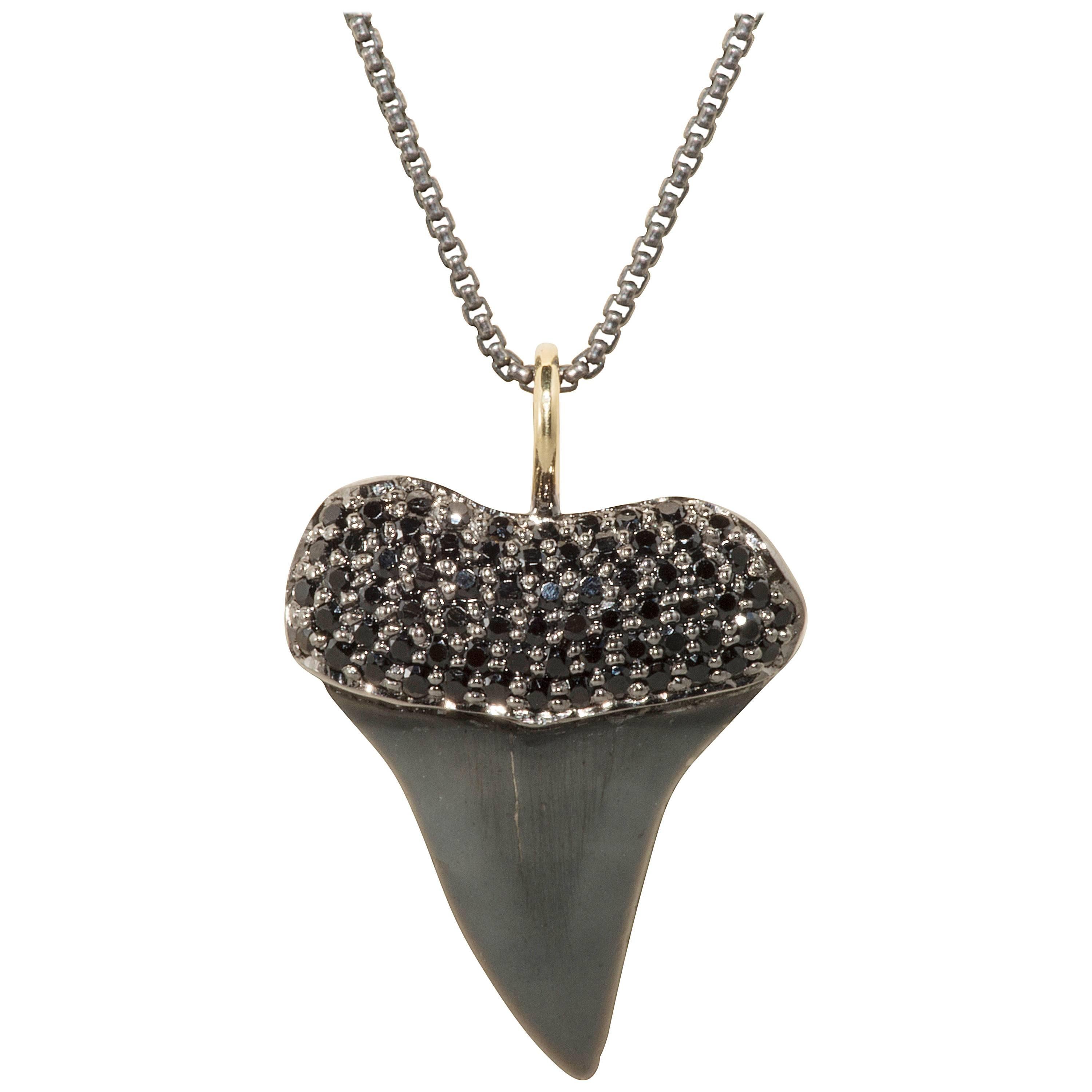 Shark Tooth Necklace For Sale on 1stDibs gold shark tooth necklace