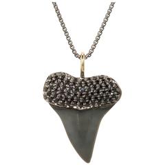 Black Spinal Gold Fossilized Shark Tooth Pendant
