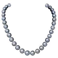 Tahitian Cultured Pearl Necklace 9