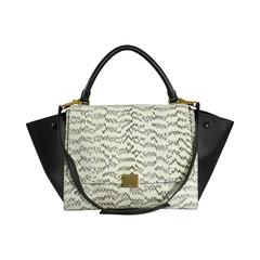 Celine Trapeze Python Small Bag