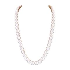EXQUISITE Tiffany Cultured Pearl Necklace with '925' Solid Silver Clasp