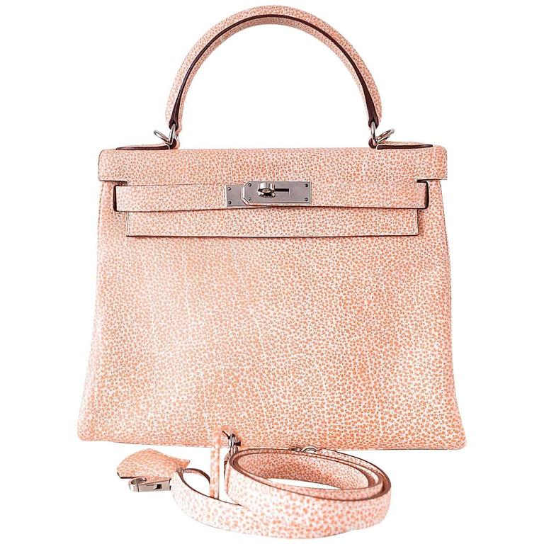 dalmatian hermes bag