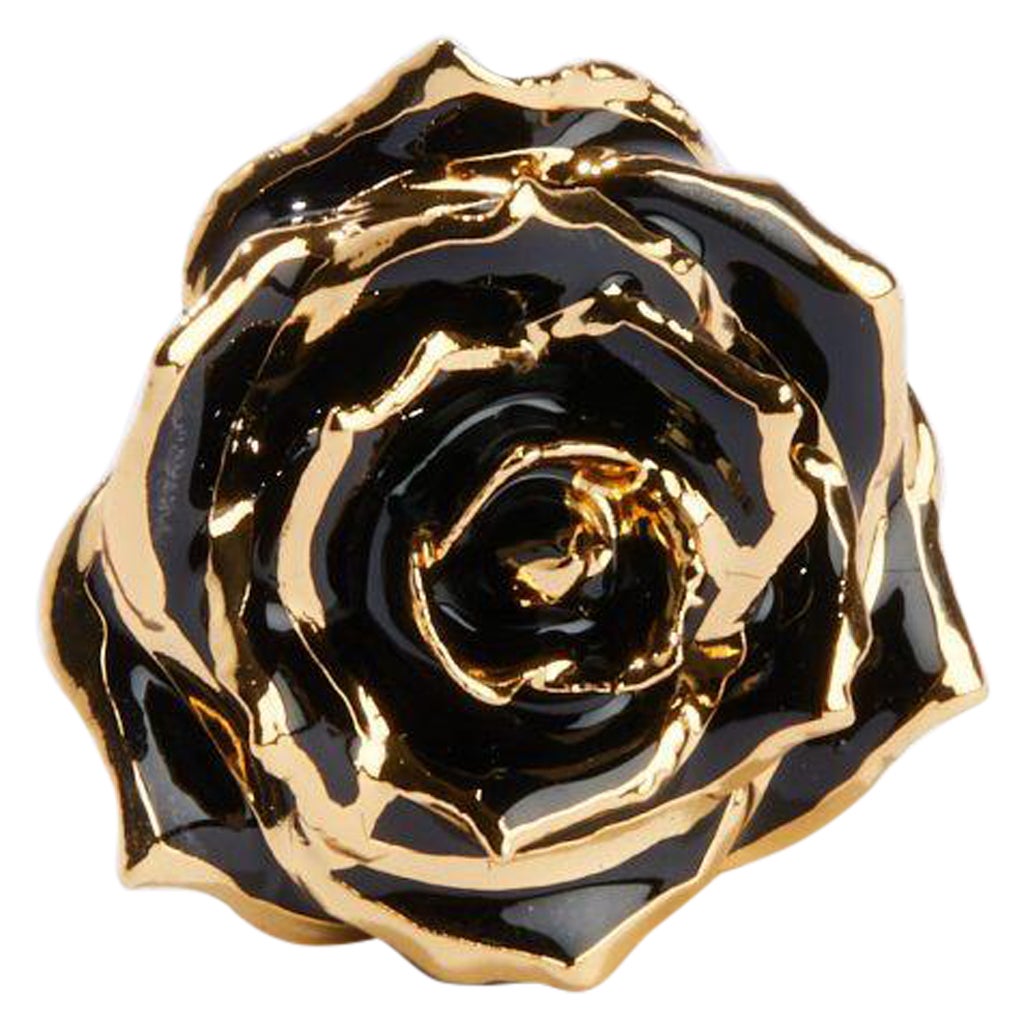 Midnight Promise, Glossy Lacquer Real Rose Eternal Lapel Pin For Sale