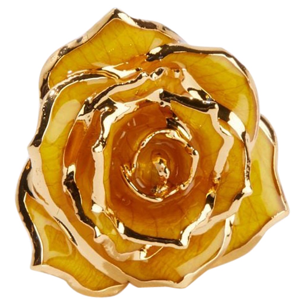 Goldenrod Gift, Glossy Lacquer Real Rose Eternal Lapel Pin For Sale