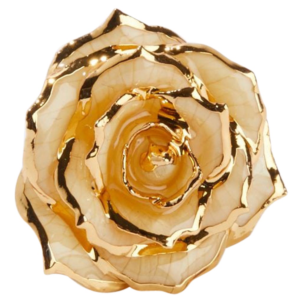Sweet Pear and Cinnamon, Glossy Lacquer Real Rose Lapel Pin For Sale