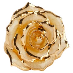 Sweet Pear and Cinnamon, Glossy Lacquer Real Rose Lapel Pin