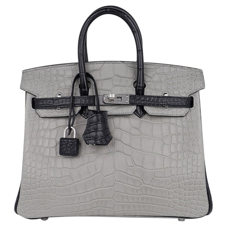 Hermes Graphite Matte Crocodile Palladium Birkin 25 Handbag