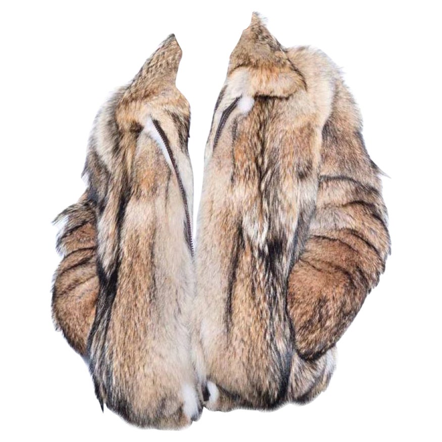 Fur Faces " Coyote "Trapping Fur Coats # 1 Grade   I D Tag Red 