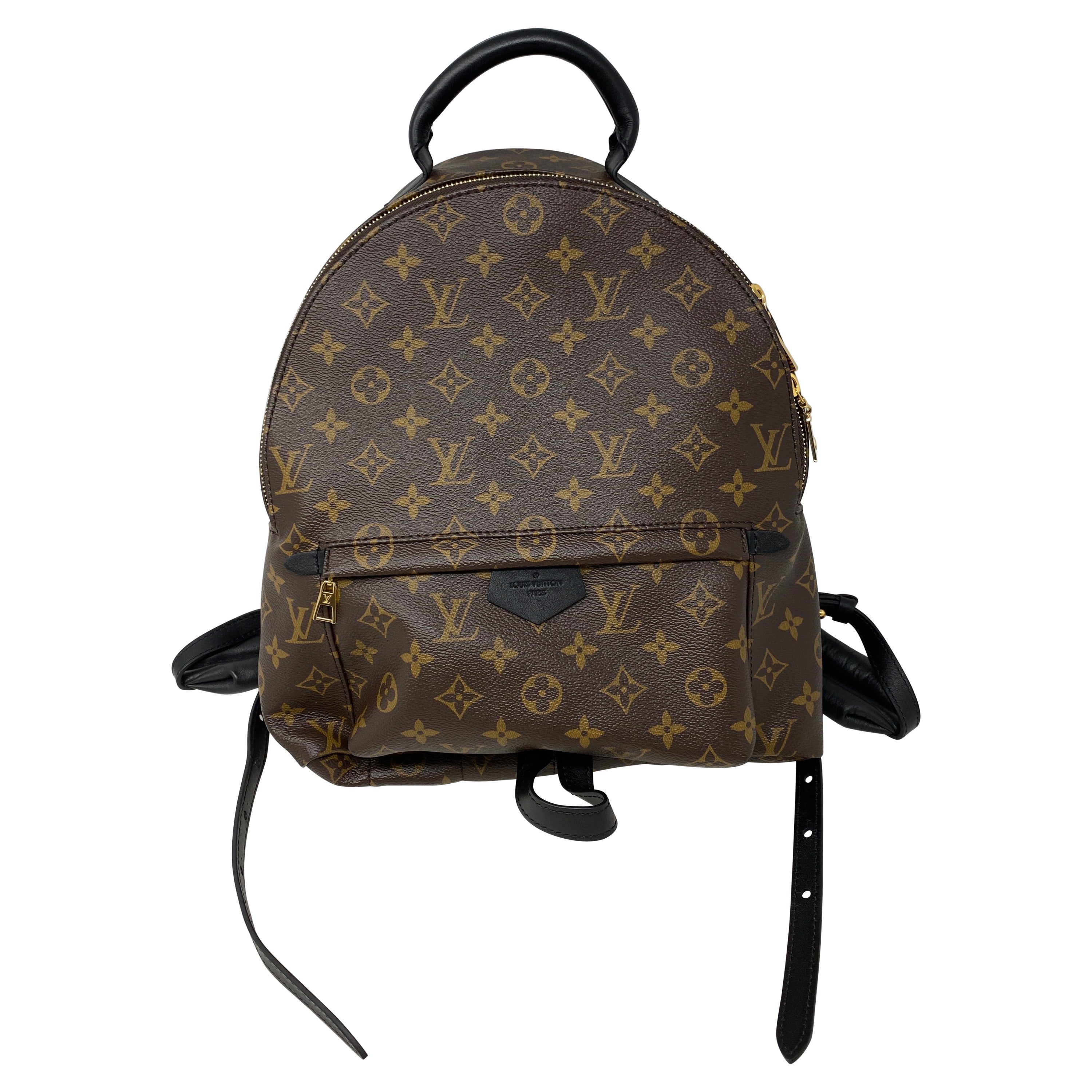 Louis Vuitton Palm Backpack at 1stDibs | louis backpack