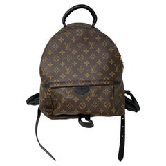Louis Vuitton Palm Springs Backpack MM 