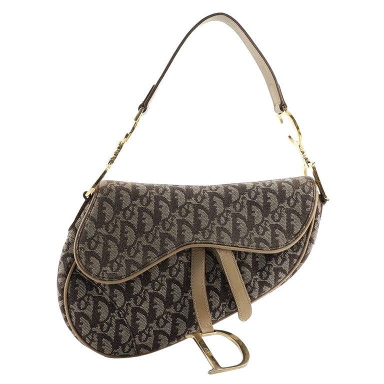 dior vintage saddle