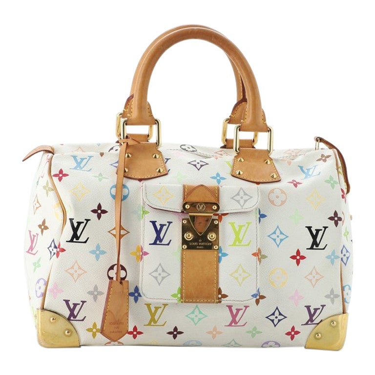 Louis Vuitton Speedy Handbag Monogram Multicolor 30