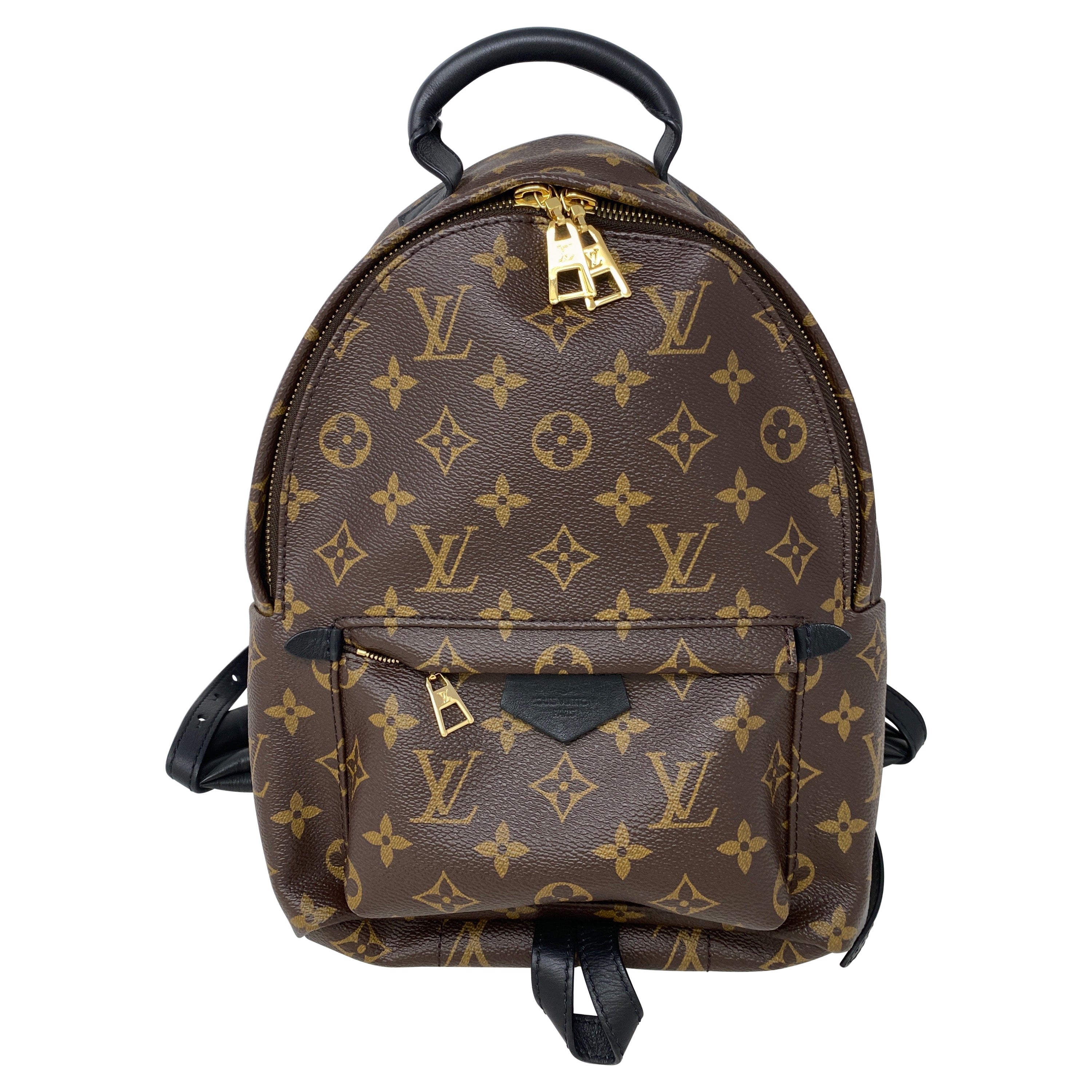 Louis Vuitton Palm Springs Backpack PM 