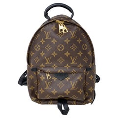 Used Louis Vuitton Palm Springs Backpack PM 