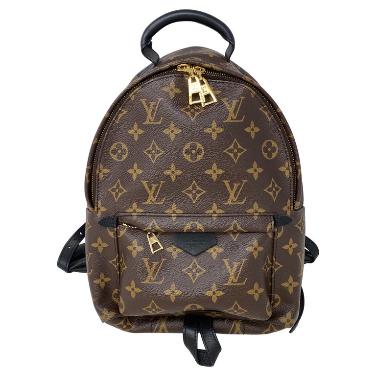 Louis Vuitton Palm Springs Backpack PM at 1stDibs