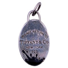 Tiffany & Co. Sterling Silver Return To Color Splash Oval Pendant
