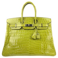 Hermes Birkin 35 Vert Anis Green Crocodile Palladium Hardware