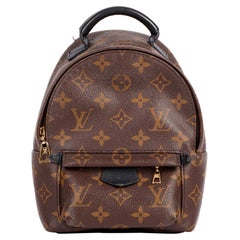 Louis Vuitton Mini-Rucksack Palm Springs aus beschichtetem Canvas in Braun mit Monogramm