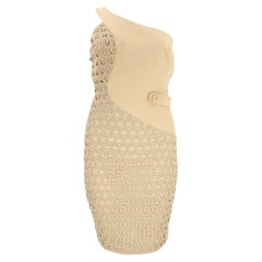 S/S 2011 Look # 36 Versace Crepe Nude Dress 40 - 4/6