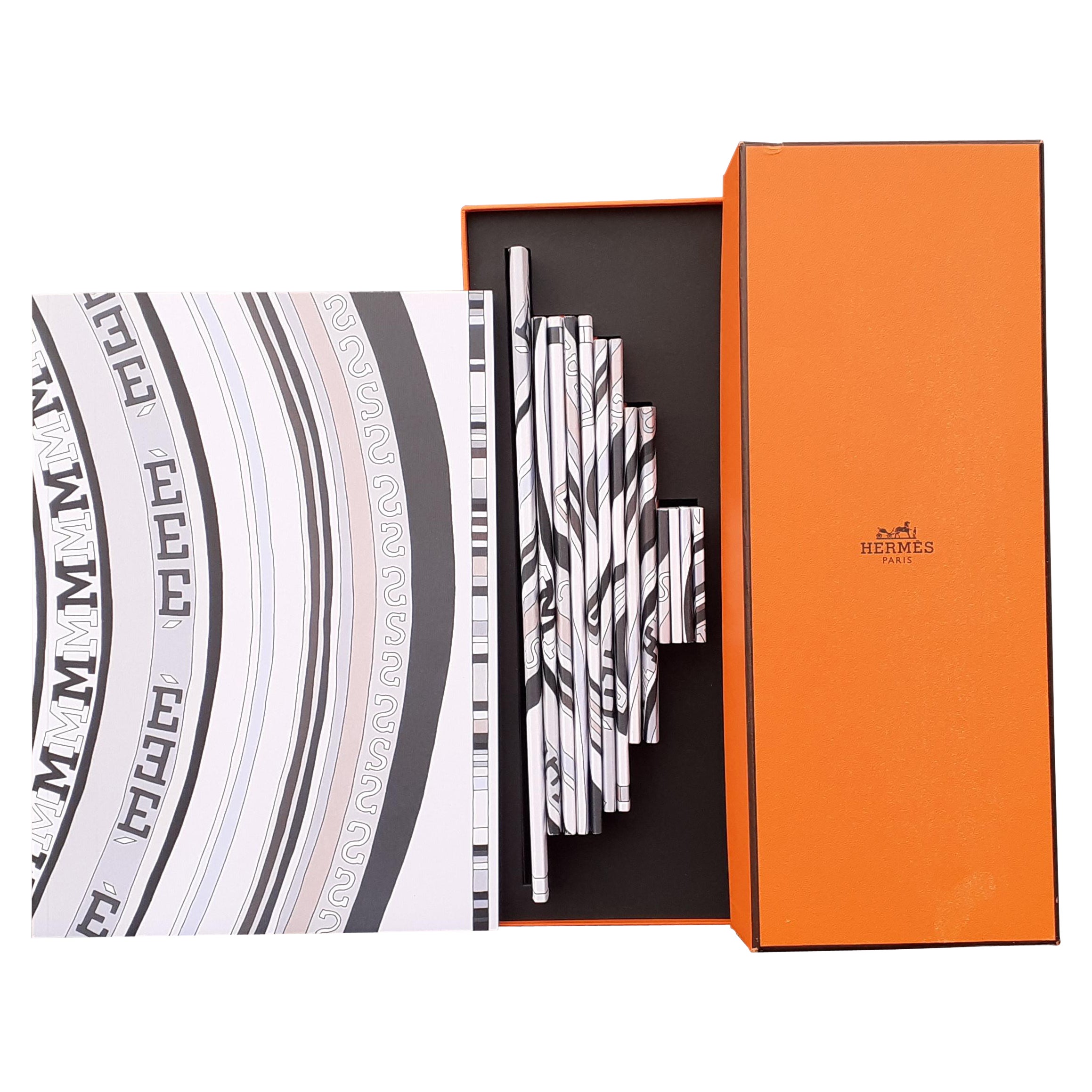 Set von 14 Notiztafeln mit Tohu Bohu-Muster von Hermès, in Karton