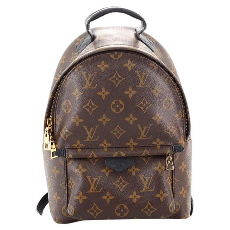 Louis Vuitton Palm Springs Backpack Monogram Canvas PM