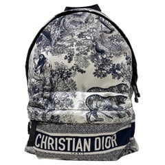 Christian Dior Cruise Backpack 