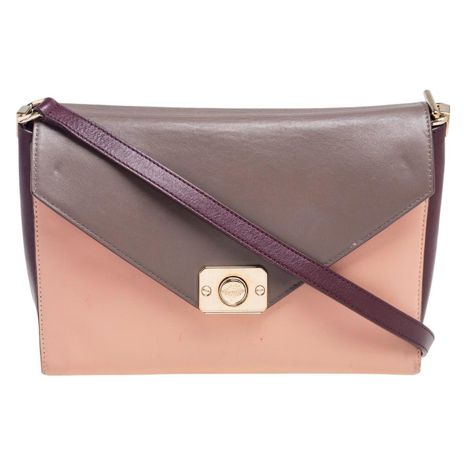 Mulberry Multicolor Leather Reversible Shoulder Bag