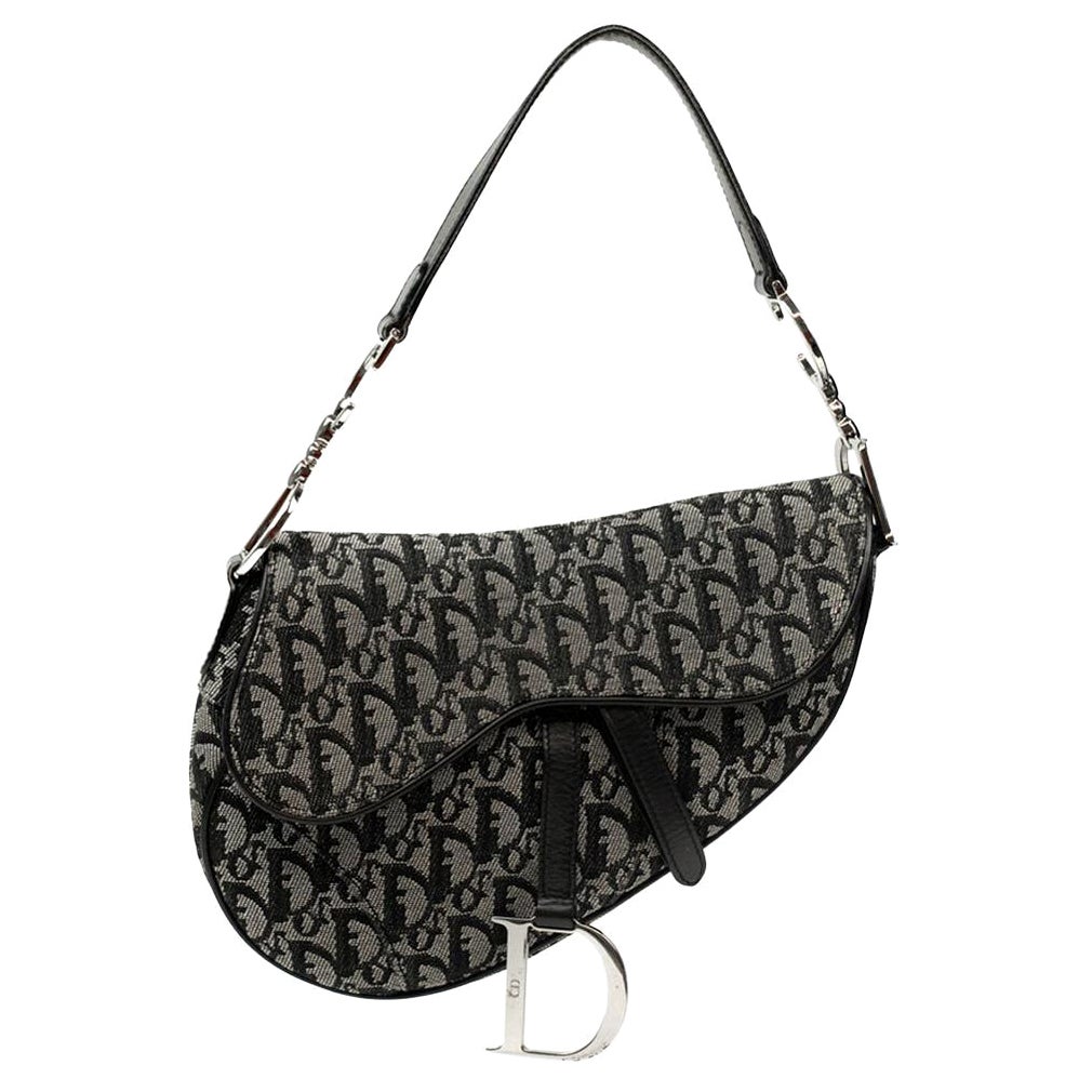 dior saddle bolsa hardware