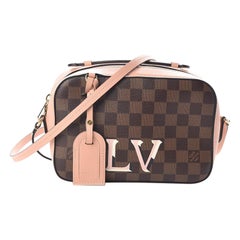 Louis Vuitton Damier Ebene x Pink Venus Santa Monica Camera  Bag 92lv77