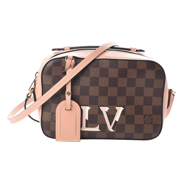 Louis Vuitton Damier Ebene x Pink Venus Santa Monica Camera Bag 92lv77 at  1stDibs