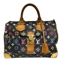 2003 Louis Vuitton Multicolor Leather Speedy Bag