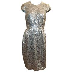 Naeem Khan Silver Silk & Mesh Sequin Short Sleeve Dress w/ Cinched Waist - 8