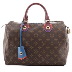 Louis Vuitton Speedy Handbag Limited Edition Totem Monogram Canvas 30