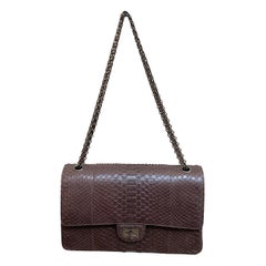 Chanel Reissue python bag