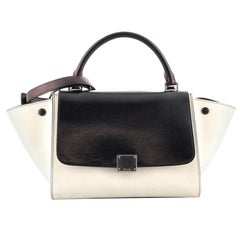 Celine Trapeze Bag Leather with Lizard Embossed Patent Small
