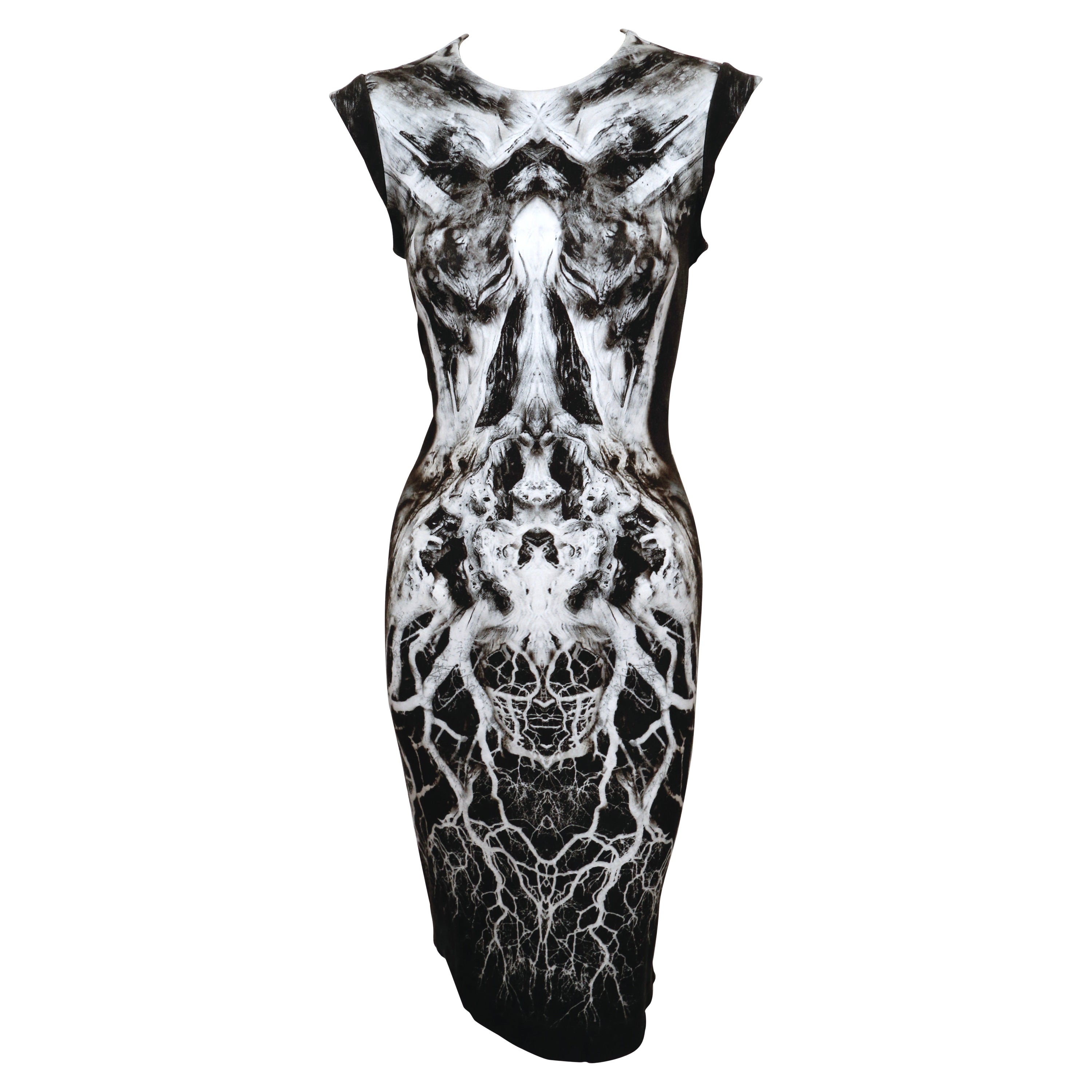 2010 ALEXANDER MCQUEEN skeleton print dress  