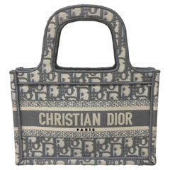 Christian Dior Graue Mini-Buch-Tasche