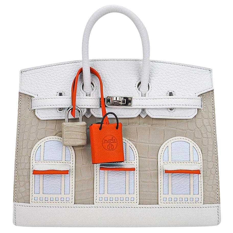 Hermes Birkin Faubourg 20 Sellier Neige White Alligator Bag
