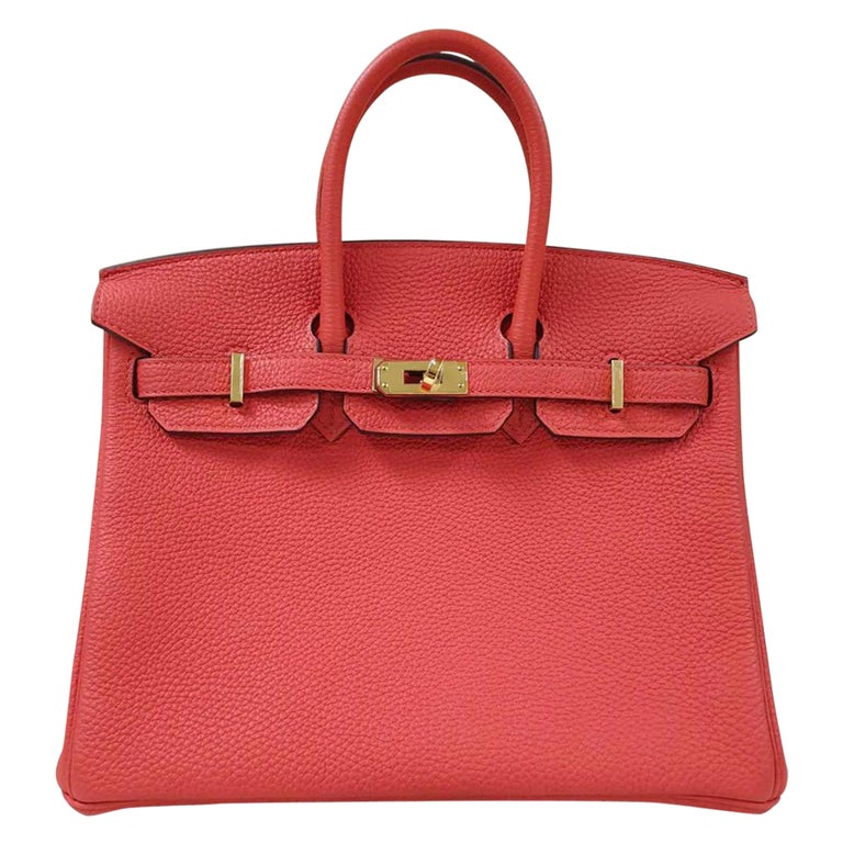 NWOB Hermès Birkin 25 Bag For Sale at 1stDibs