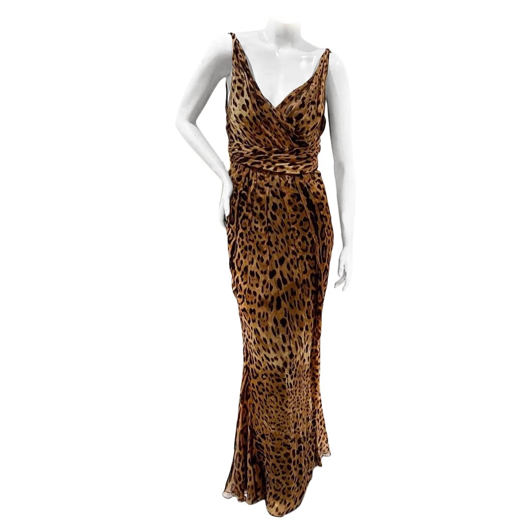 Dolce & Gabbana Leopard Maxi Dress (Spring2020) For Sale