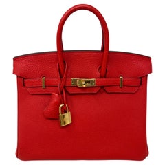 Hermes Rouge De Coeur Birkin 25 Bag