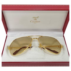 Retro Cartier CT0303S Pilot-Frame Sunglasses