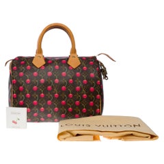 Louis Vuitton Speedy 25 Murakami Handtasche in limitierter Auflage aus braunem Segeltuch, GHW