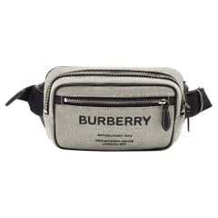 Burberry Grey Canvas and Leather West Belt Bag