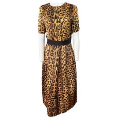 Adam Lippes Silk Leopard Top and Skirt Set