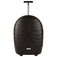 NOS c. 2008 ALEXANDER McQUEEN Samsonite Brown Rib Cage Upright Hero Luggage 10