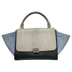 Celine Trapeze Tricolor Tote Borsa A Tracolla
