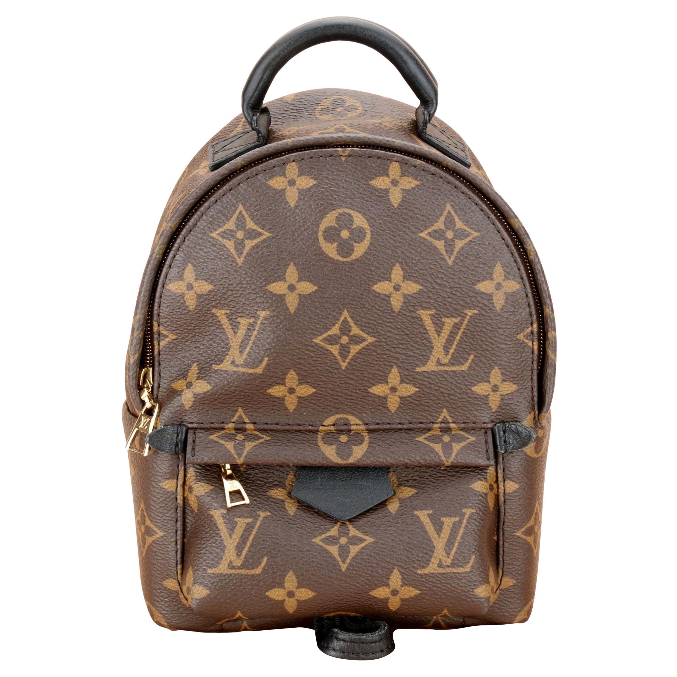 Vuitton Palm Springs Mini Backpack - 19 For Sale on 1stDibs  louis vuitton  reverse backpack, louis vuitton reverse palm springs mini, louis vuitton  palm springs mini reverse monogram